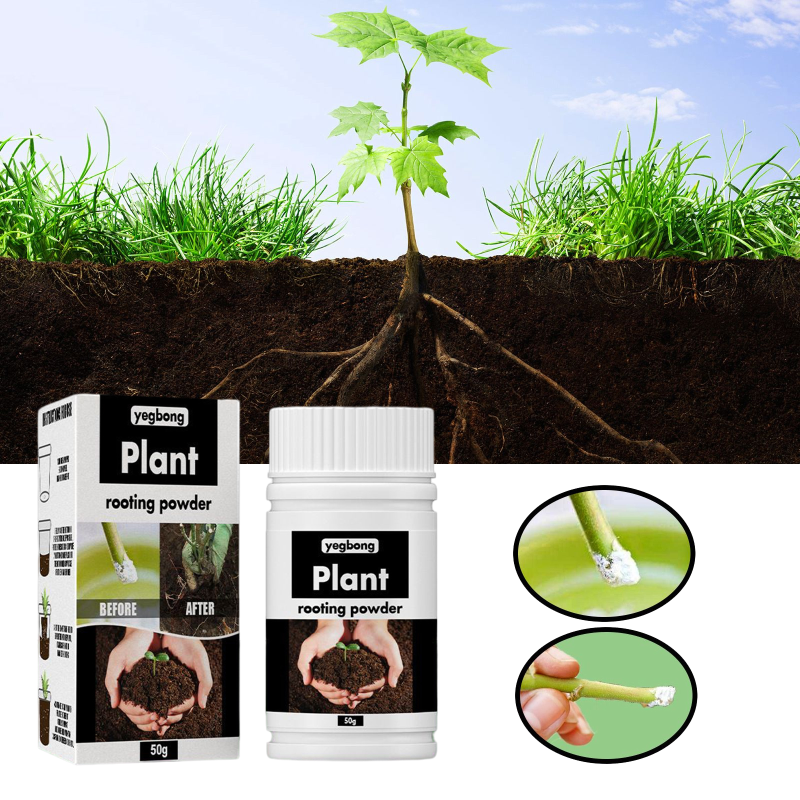 1Rare Plant Rooting Powder Pla - огляд і ціна Roots Nutrition & Fitness Inglewood Photos