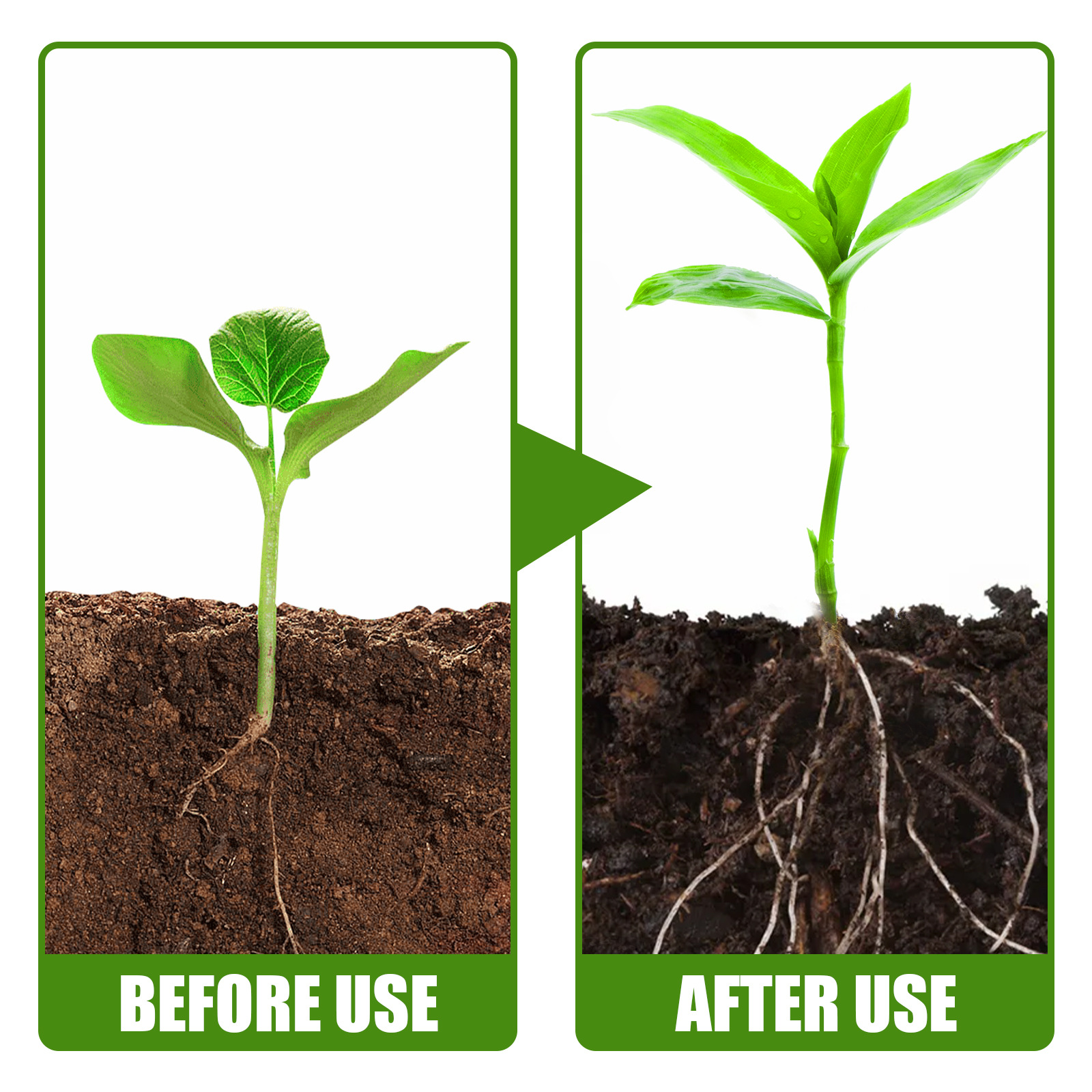 1Rare Plant Rooting Powder Pla - огляд і ціна Roots Nutrition & Fitness Inglewood Photos