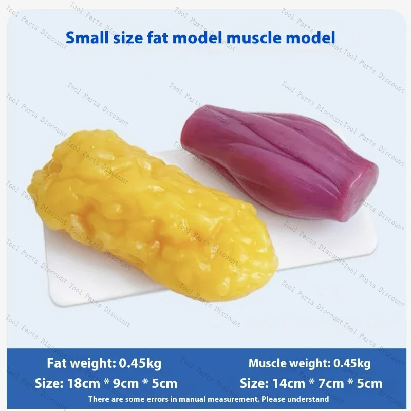 Human Muscle Replicas Weight L - огляд і ціна Nutrition Fitness Center