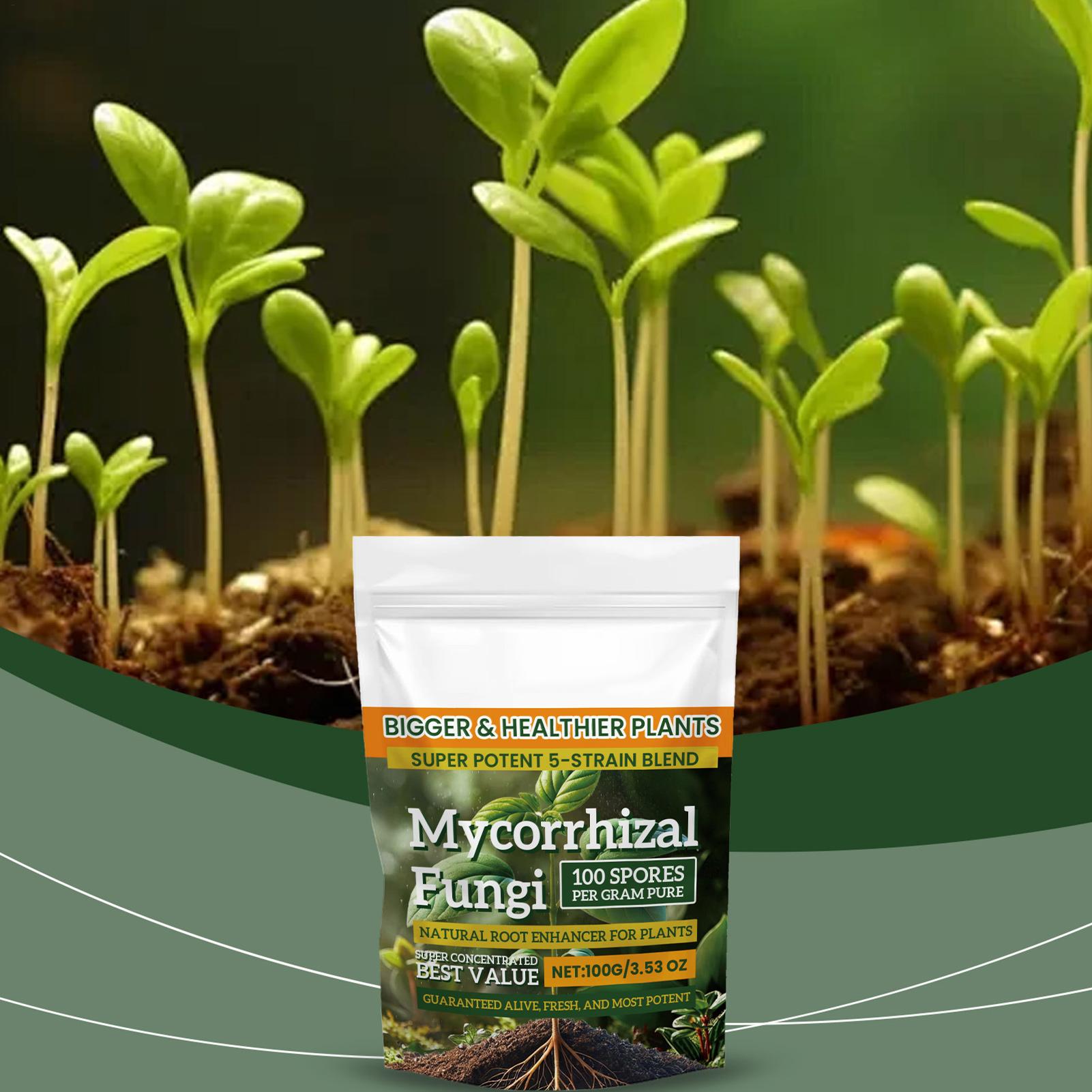 100g Organic Plant Root Enhanc - огляд і ціна Roots Nutrition & Fitness Inglewood Photos