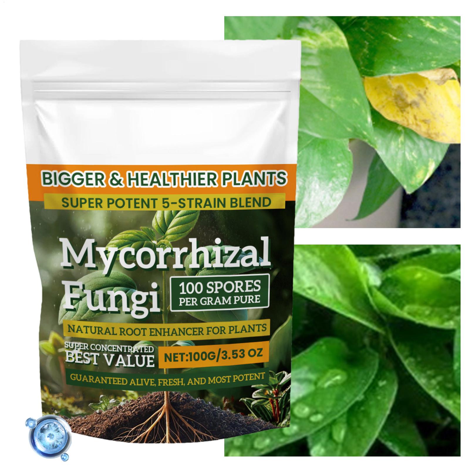 100g Organic Plant Root Enhanc - огляд і ціна Roots Nutrition & Fitness Inglewood Photos