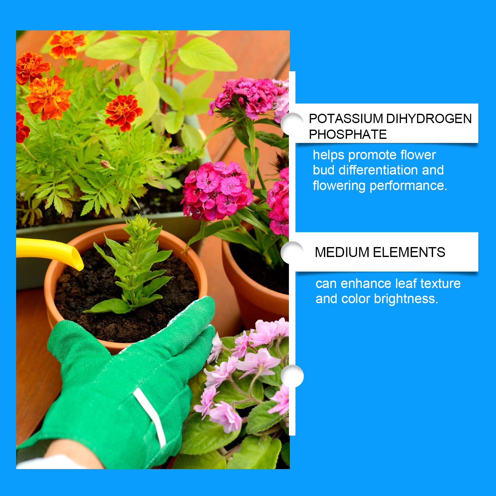 Flower Nutrient Solution Liqui - огляд і ціна Nutrition & Fitness Hub